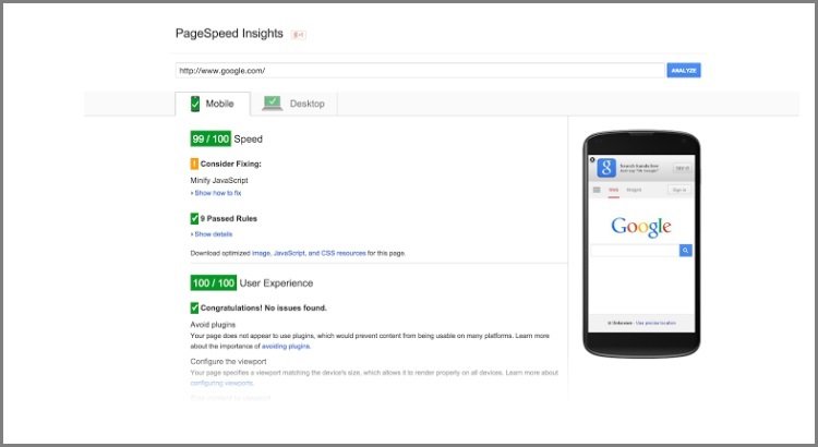 Google Page Speed Insights